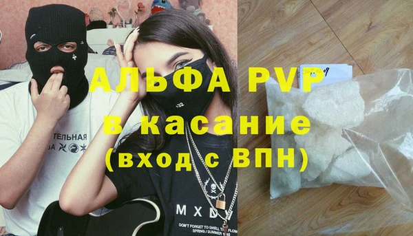 бошки Белокуриха