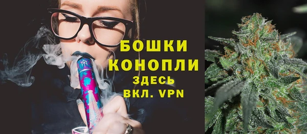 бошки Белокуриха